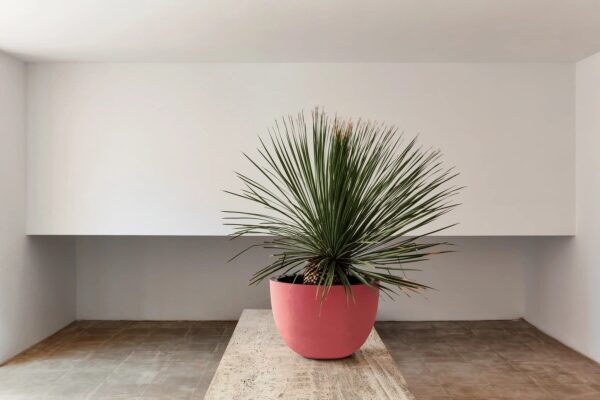 Niedriger Handgearbeiteter Gartenvase aus Terrakotta | DOMANI - Image 2