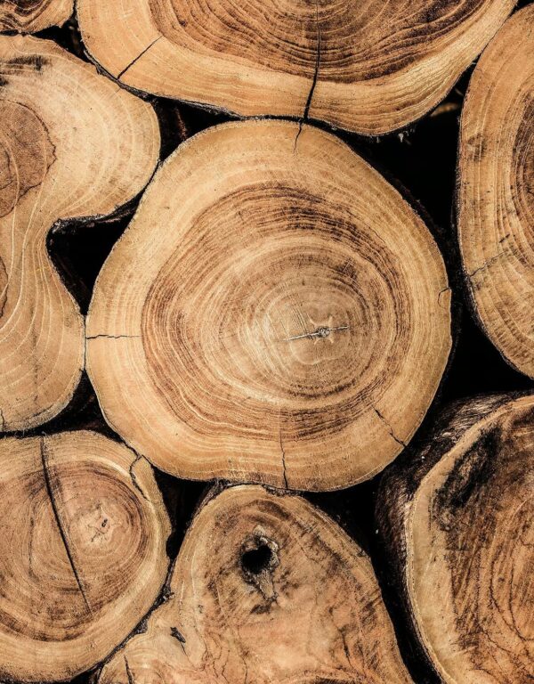 Rechteckiger Gartentisch aus Teakholz | Gloster - Image 17
