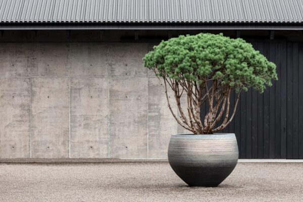 Niedriger Handgearbeiteter Gartenvase aus Terrakotta | DOMANI - Image 4