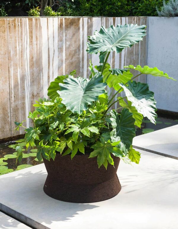 Niedriger Gartenvase aus Kork | RODA | Bush On - Image 2