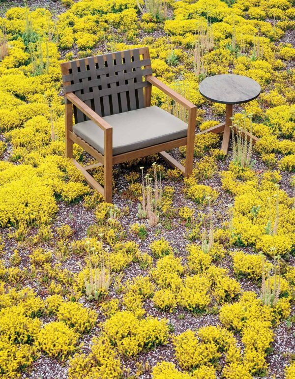 Gartensessel aus Teakholz mit Armlehnen | RODA | Network - Image 3