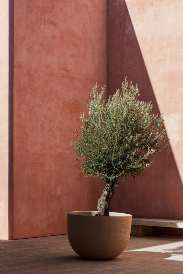 Niedriger Handgearbeiteter Gartenvase aus Terrakotta | DOMANI - Image 2