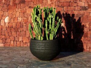 Niedriger Handgearbeiteter Gartenvase aus Terrakotta | DOMANI