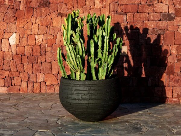 Niedriger Handgearbeiteter Gartenvase aus Terrakotta | DOMANI