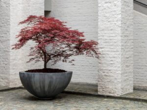 Niedriger Gartenvase aus Zink | DOMANI | Zinc