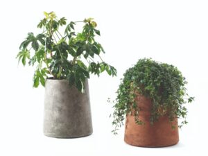 Handgearbeiteter runder Gartenvase aus Zement | Ethimo | Bulbi