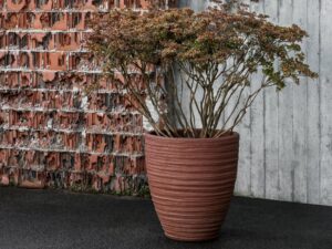 Niedriger Handgearbeiteter Gartenvase aus Terrakotta | DOMANI