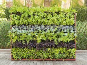 Grüne Wand | Paola Lenti