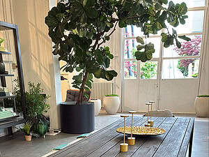 Manutti SUNRISE Esstisch, teak scuro | Ab Showroom